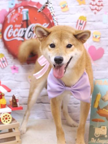 20230923れんたろうくん